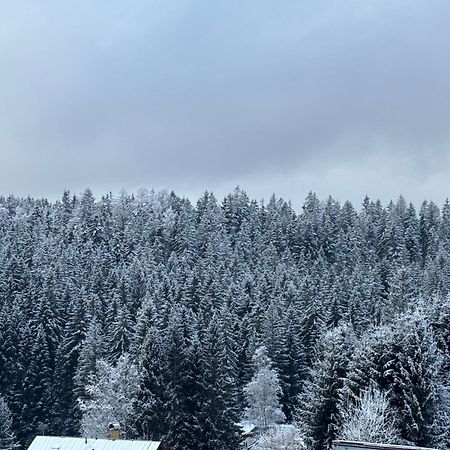 Penzion Verde Rosa Harrachov Bagian luar foto