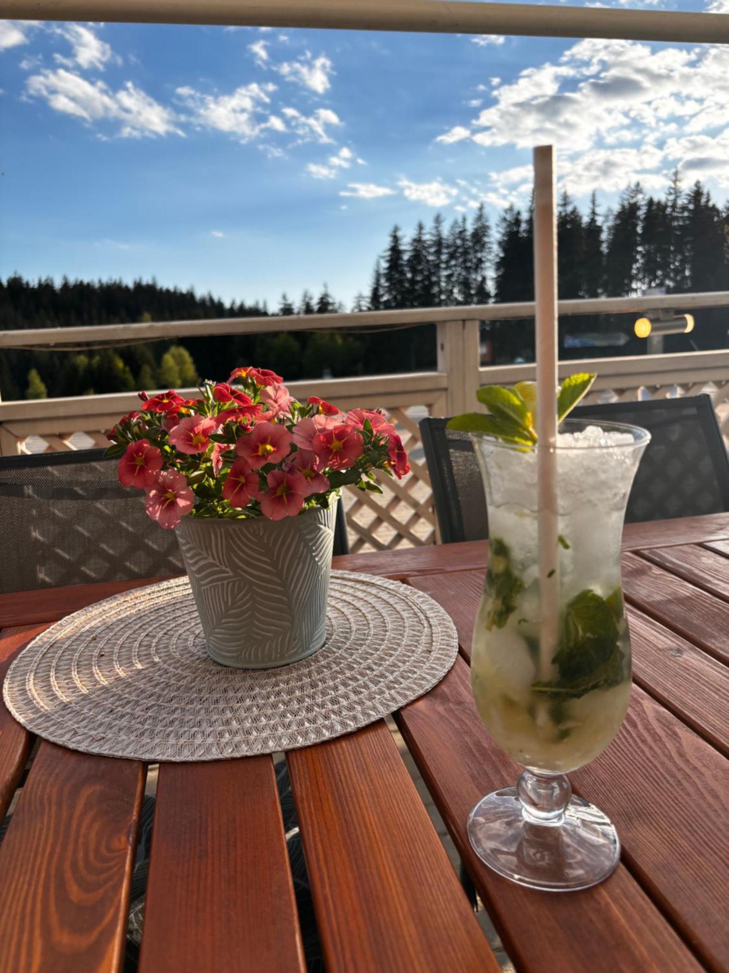Penzion Verde Rosa Harrachov Bagian luar foto