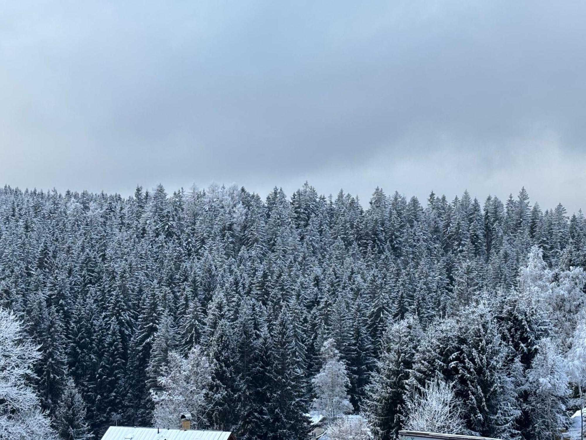 Penzion Verde Rosa Harrachov Bagian luar foto