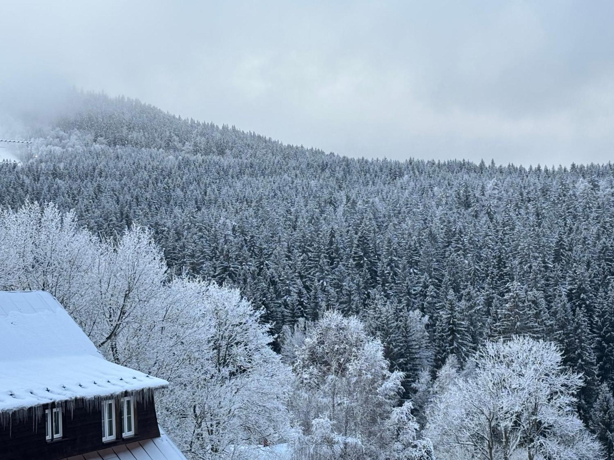 Penzion Verde Rosa Harrachov Bagian luar foto